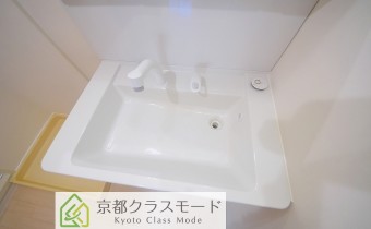 シャンプードレッサー