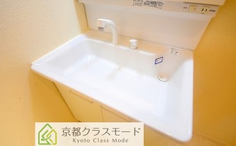 シャンプードレッサー