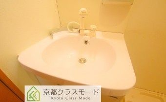 シャンプードレッサー