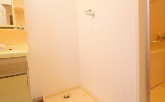 室内洗濯機置場