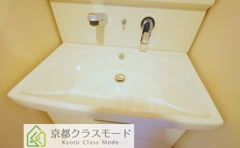 シャンプードレッサー