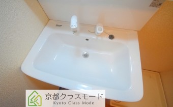 シャンプードレッサー