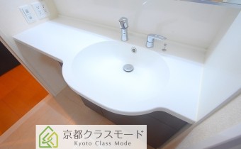 シャンプードレッサー