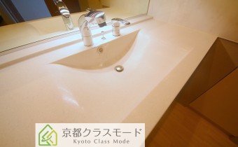 シャンプードレッサー  
