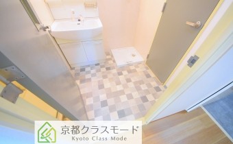 シャンプードレッサー