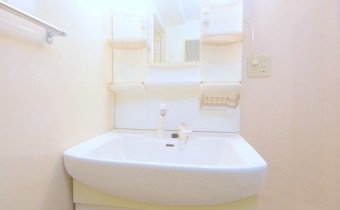 シャンプードレッサー