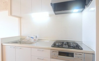 3口ガスシステムキッチン