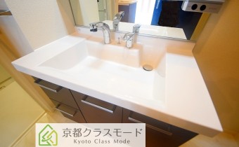 シャンプードレッサー