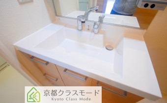 シャンプードレッサー