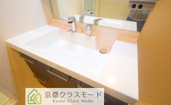 シャンプードレッサー