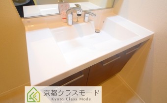 シャンプードレッサー