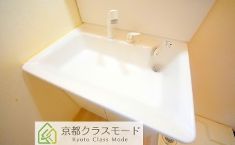 シャンプードレッサー