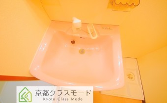 シャンプードレッサー