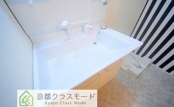 シャンプードレッサー