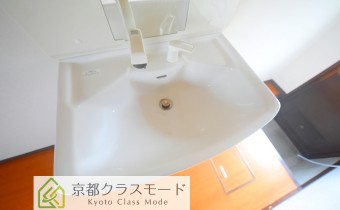 シャンプードレッサー