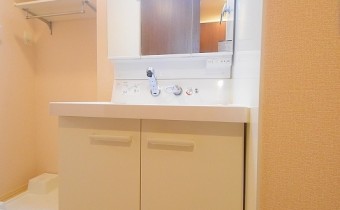 シャンプードレッサー