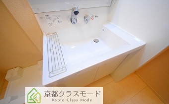 シャンプードレッサー