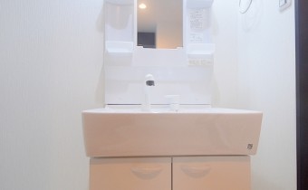 シャンプードレッサー