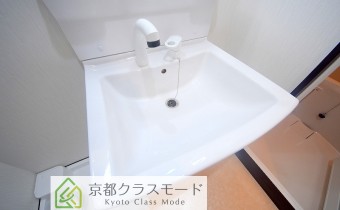 シャンプードレッサー