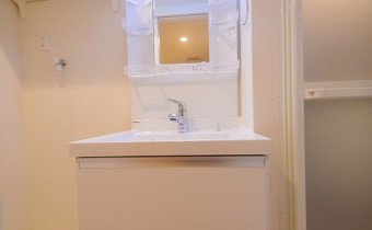 シャンプードレッサー