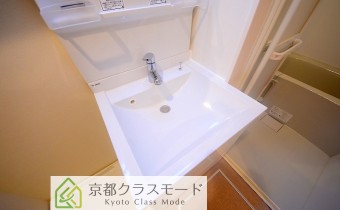 シャンプードレッサー
