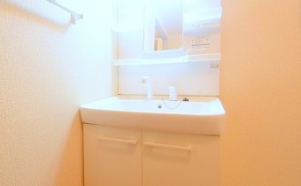 シャンプードレッサー