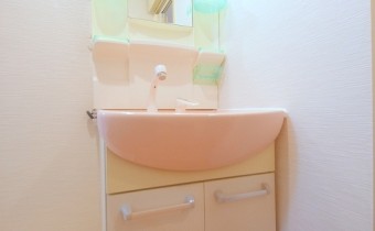 シャンプードレッサー