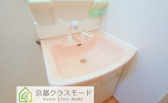 シャンプードレッサー