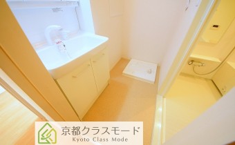 シャンプードレッサー