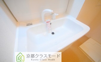 シャンプードレッサー