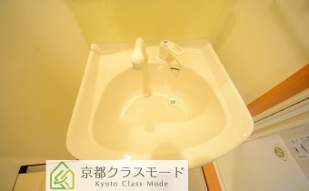 シャンプードレッサー