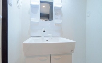 シャンプードレッサー