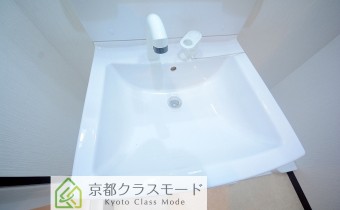 シャンプードレッサー