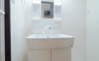シャンプードレッサー