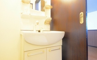 シャンプードレッサー