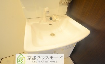 シャンプードレッサー