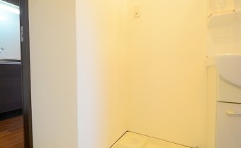 室内洗濯機置場