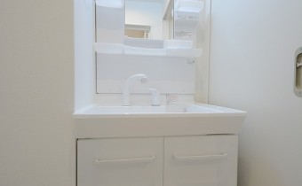 シャンプードレッサー