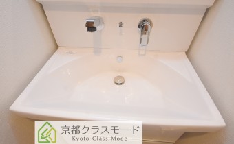 シャンプードレッサー
