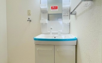 シャンプードレッサー