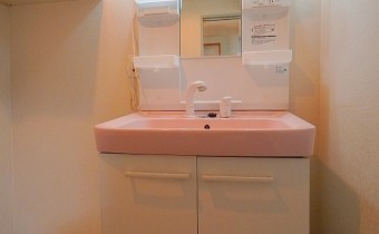 シャンプードレッサー