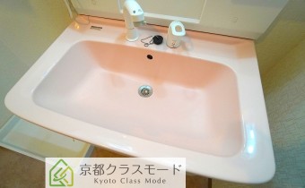 シャンプードレッサー