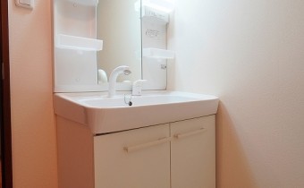 シャンプードレッサー