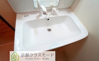 シャンプードレッサー
