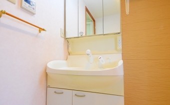 シャンプードレッサー