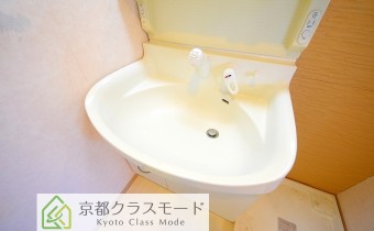 シャンプードレッサー