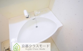 シャンプードレッサー