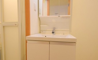 シャンプードレッサー
