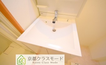 シャンプードレッサー