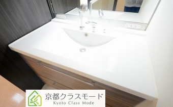 シャンプードレッサー
